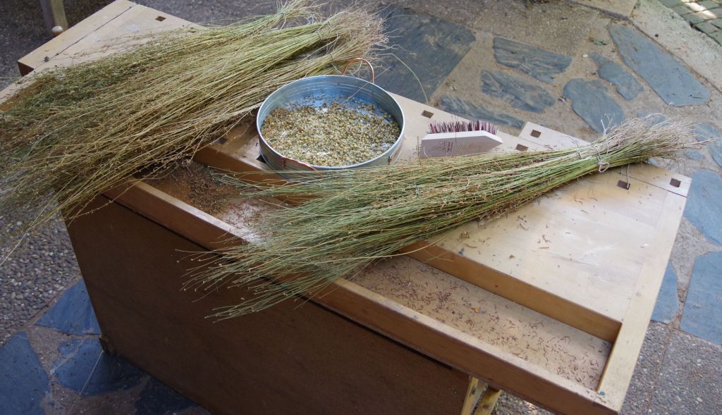 Riffeln 2025 bei KUBUS&nbsp;CARRÉ