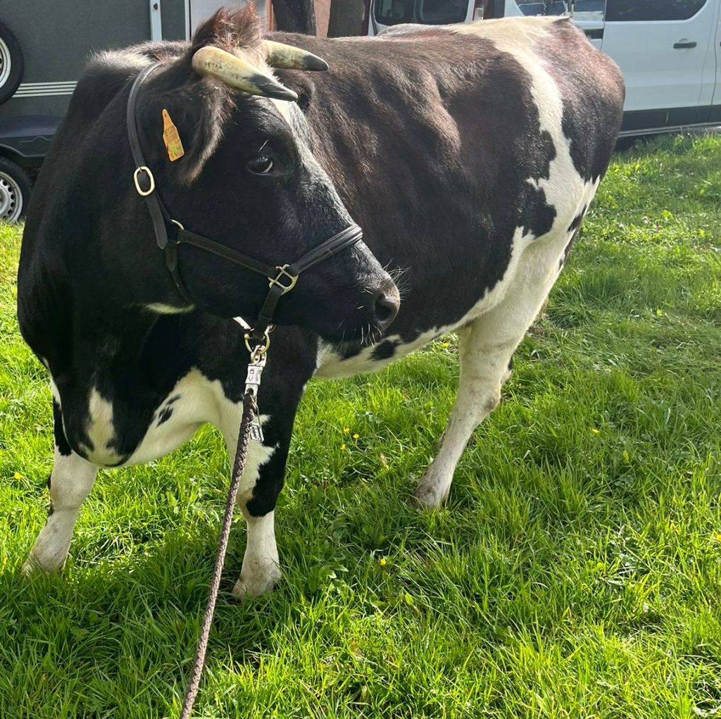 Odette und Pia unterwegs in der&nbsp;Eifel