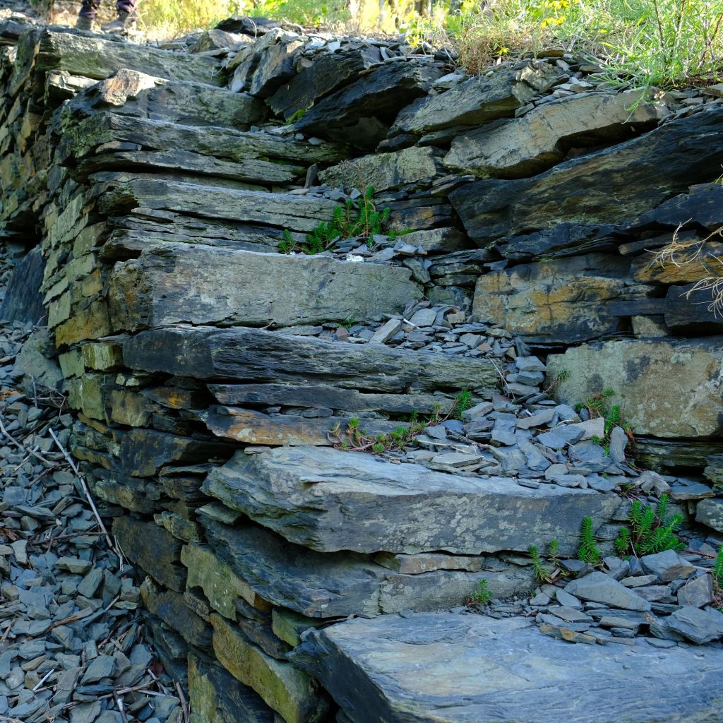 Treppe im Weinberg Ahrtal
